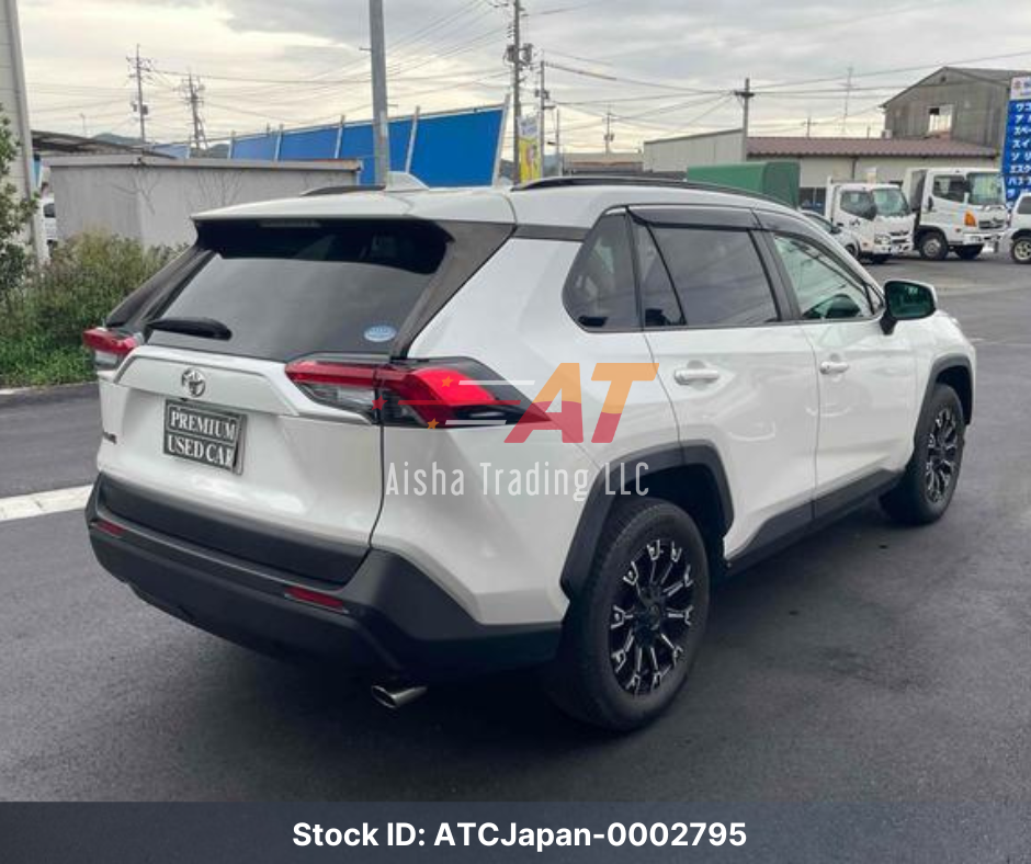 2019 Toyota RAV4